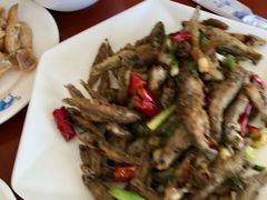 -品雅轩农家乐
