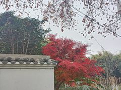 -幕燕滨江·燕子矶公园