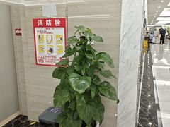 -美年大健康体检(天河东路分院)