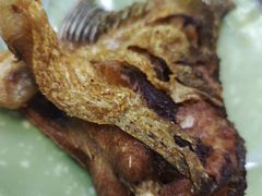 -艾力江和田馕坑烤肉店