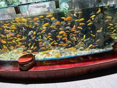 -太平洋海底世界