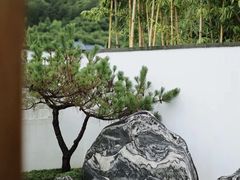 -遂昌红星坪温泉酒店