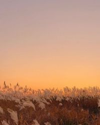 -Lisamoon礼慕纱婚纱礼服高级定制