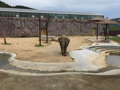 -青岛森林野生动物世界