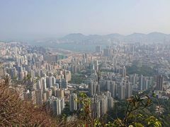 -狮子山郊野公园