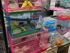 -宝鸡东道花鸟鱼虫市场(吉利花园商场店)