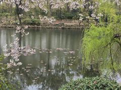-灵谷景区