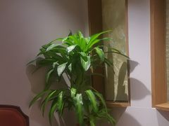 -金河半岛园林酒家(金融城店)