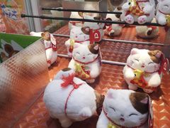 -汤姆熊欢乐世界(滨江店)