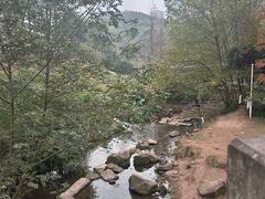 -重庆彩云湖湿地公园