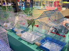 -龟与熊猫宠物公园(南坪店)