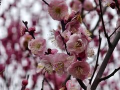 -蜀冈西峰生态公园