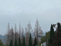 -庐山天沐温泉度假村