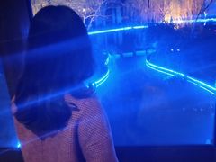 -无锡梁鸿湿地丽笙度假酒店·流觞西餐厅