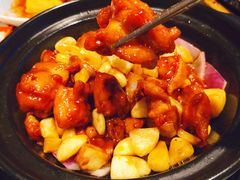 金不换三杯鸡煲-高第街56号港式餐厅·精选(世茂广场宽厚里大明湖店)