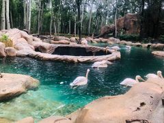 -罗红摄影艺术馆