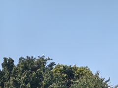 -杨柳河(地铁站)