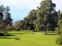 -墨尔本皇家植物园