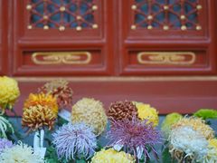 -故宫博物院(故宫)