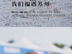 -中央公园(苏州工业园区)