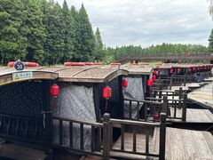 -溱湖国家湿地公园