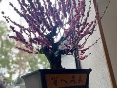 -无锡梅园公园