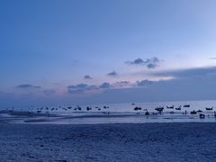 -石螺口海滩