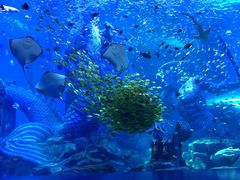 -波塞冬旅游度假区