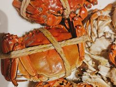 -太湖饭店玉兰厅(自助餐厅)