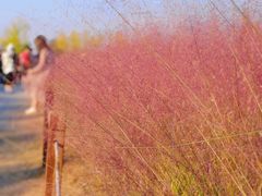 -汉长安城未央宫国家考古遗址公园