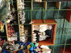 -Behring World of Animals(上海自然博物馆店)