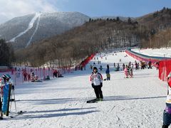 -亚布力新体委滑雪场