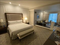 -澳门威尼斯人综合度假区