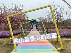 -盈香心动乐园