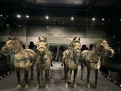 -秦始皇帝陵博物院-丽山园