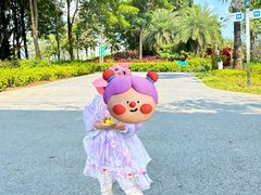 -宝安西湾红树林湿地公园