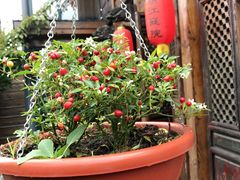 -慢丽江·云南野生菌土鸡锅(西山店)