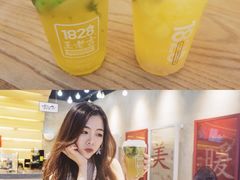 -1828王老吉·草本新茶(珠江新城地铁站店)