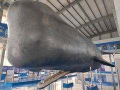 -上海海洋大学鱼文化博物馆(军工路校区)