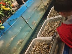 水产区-深海800米海鲜自助(万达广场店)