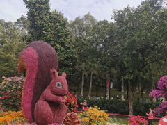 -广州市白云山风景名胜区