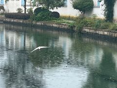 -黎里古镇
