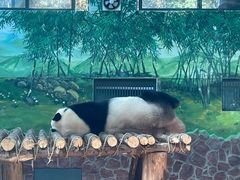 -黔灵山公园