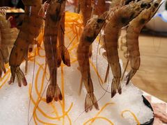 深水虾-尚海豆捞(乐虹坊店)