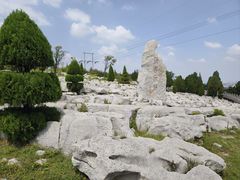 -原山国家森林公园