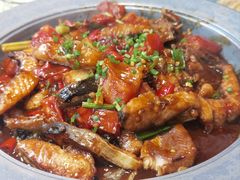 -谢三姐金奖啤酒鱼(总店)