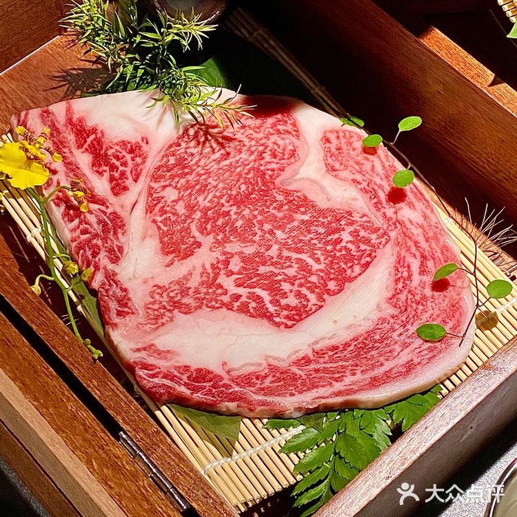 成都坠好吃的日式烧肉 M12纯血和牛太顶了‼️