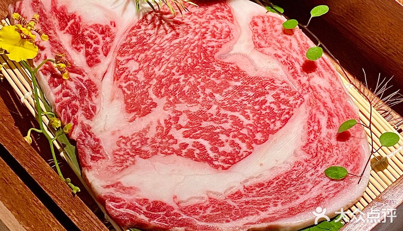 成都坠好吃的日式烧肉 M12纯血和牛太顶了‼️