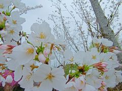 -良渚古城遗址公园