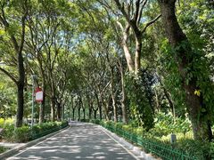 -东莞植物园